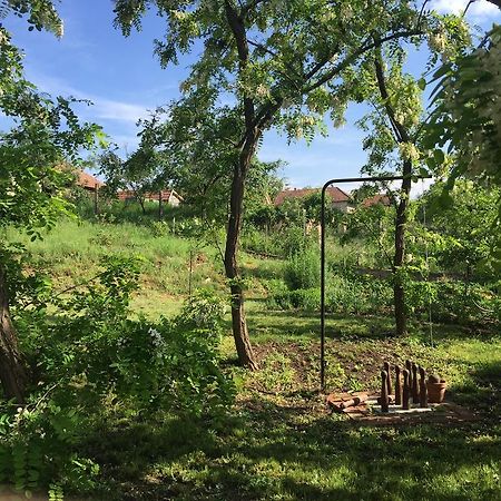 Úrágya Vendégház Mád Exterior foto
